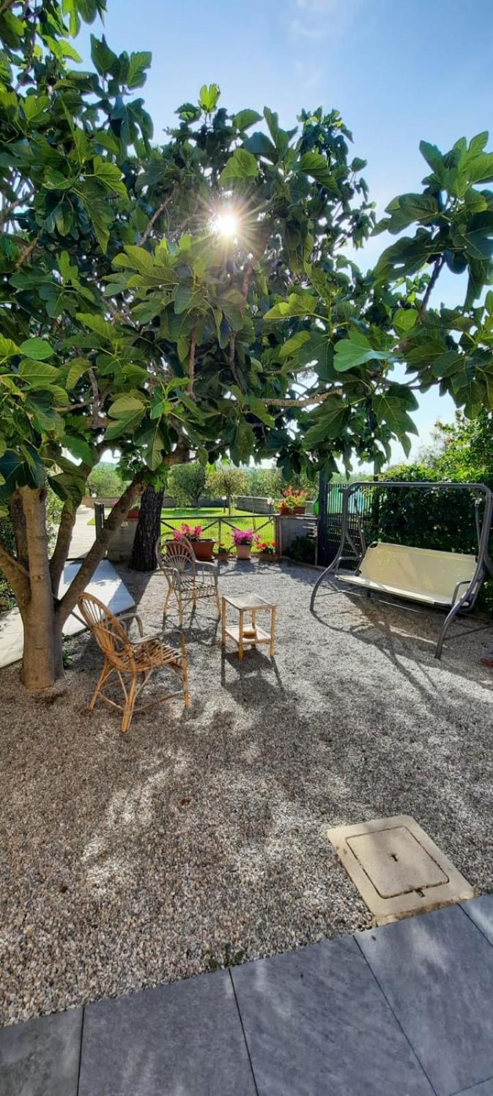 Agriturismo Terra Del Sole Riotorto Exterior photo